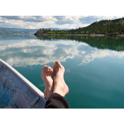 14088586_xl.jpg 14088586_xl.jpg